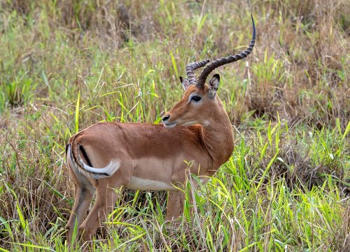 Arusha National Park