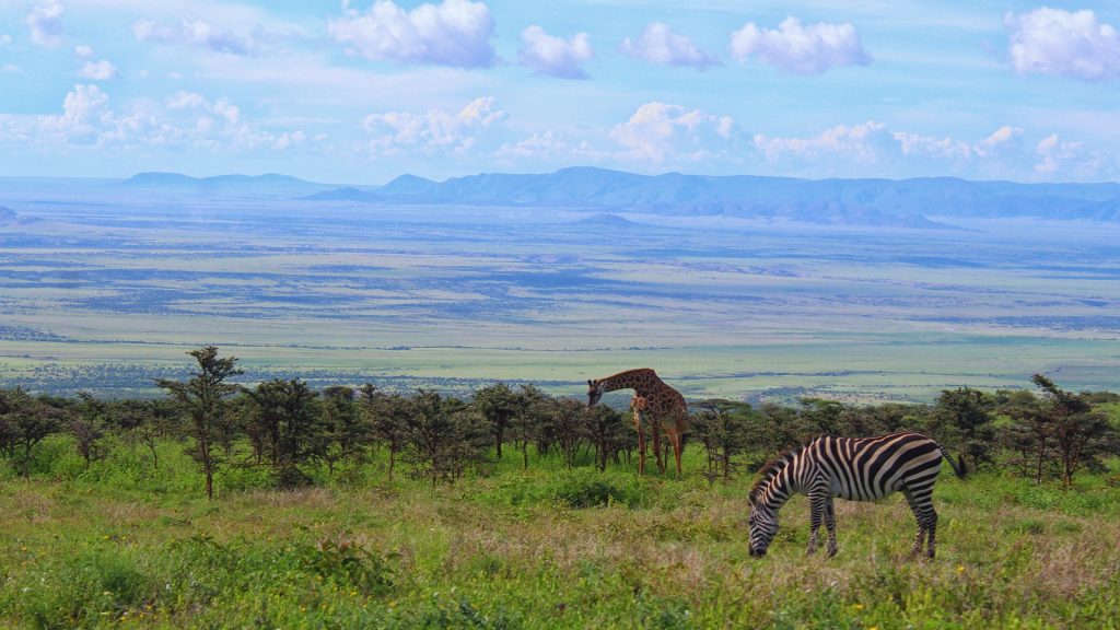 2 Days Ngorongoro Crater Discovery